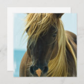 Mustang Horse Einladung (Vorne/Hinten)