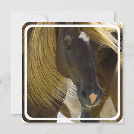 Mustang Horse Einladung (Vorderseite)