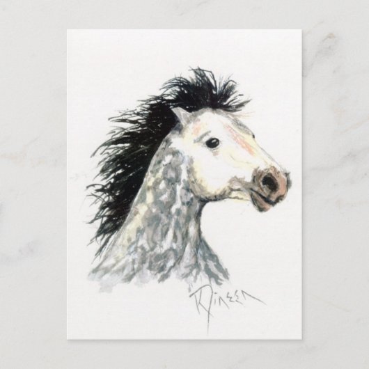Mustang Horse Postcard Postkarte (Vorderseite)