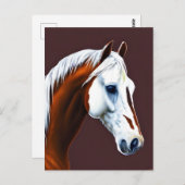 Mustang Horse Postcard Postkarte (Vorne/Hinten)