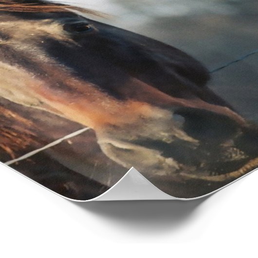 Mustang Horse Poster Print (Ecke)