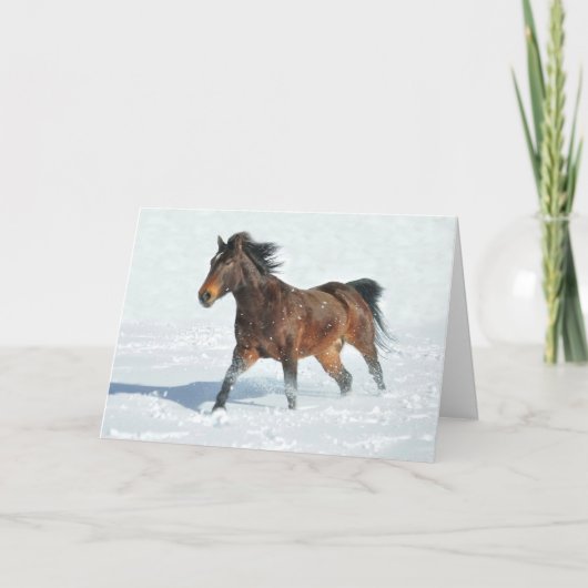 Mustang Horse Running in Snow Weihnachtskarte Karte (Vorderseite)