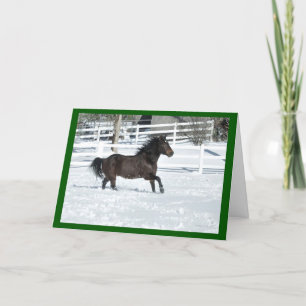 Mustang Horse Running Snow Seasons Grußkarte Karte