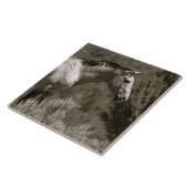 MUSTANG KERAMIK TITEL FLIESE (Seite)