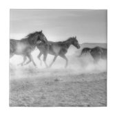 Mustang-Lauf Fliese (Vorderseite)