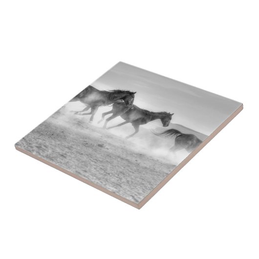 Mustang-Lauf Fliese (Seite)