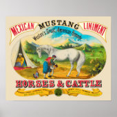 Mustang Liniment Advertising Poster (Vorne)