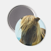 Mustang Magnet (Vorderseite/Rückseite)