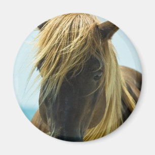 Mustang-Magnet Magnet