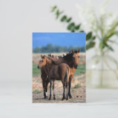 Mustang Mare und Foal Stehend mit Vögeln Postkarte (Stehend Vorderseite)