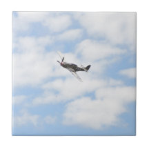 Mustang P51 im Flug