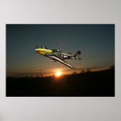 Mustang P51 Poster (Vorne)