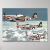 Mustang Patrol Poster (Vorne)