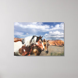 Mustang Pferde in der Wildnis, Stallion und seine Leinwanddruck