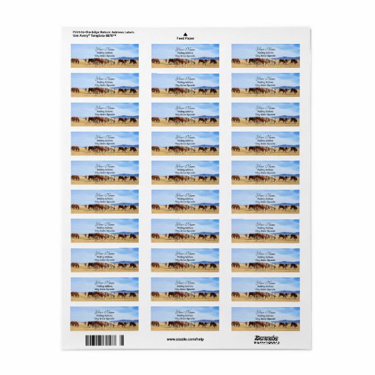 Mustang Pferde Rücksendeadresse (Vorne)