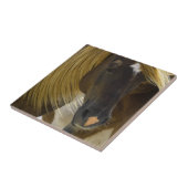 Mustang-PferdeFoto Trivet Fliese (Seite)