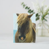 Mustang Postcard Postkarte (Stehend Vorderseite)