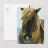 Mustang Postcard Postkarte (Vorne/Hinten)