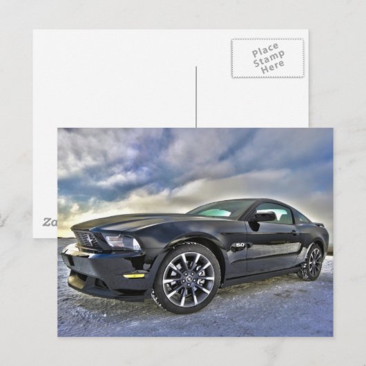 Mustang postcard postkarte (Vorne/Hinten)