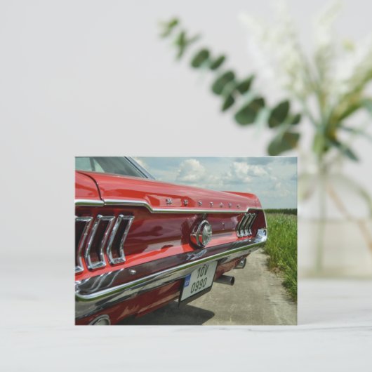 Mustang Postkarte (Stehend Vorderseite)