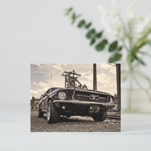 Mustang Postkarte (Stehend Vorderseite)