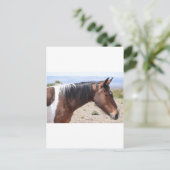 Mustang Postkarte (Stehend Vorderseite)