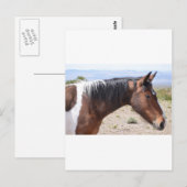 Mustang Postkarte (Vorne/Hinten)