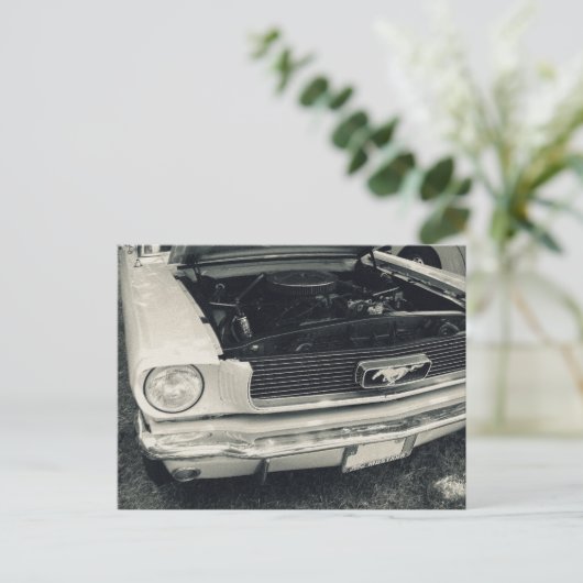 Mustang Postkarte (Stehend Vorderseite)