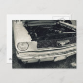 Mustang Postkarte (Vorne/Hinten)