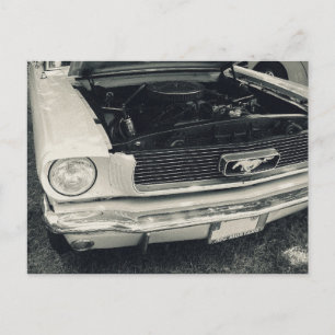Mustang Postkarte
