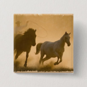Mustang Roundup Button