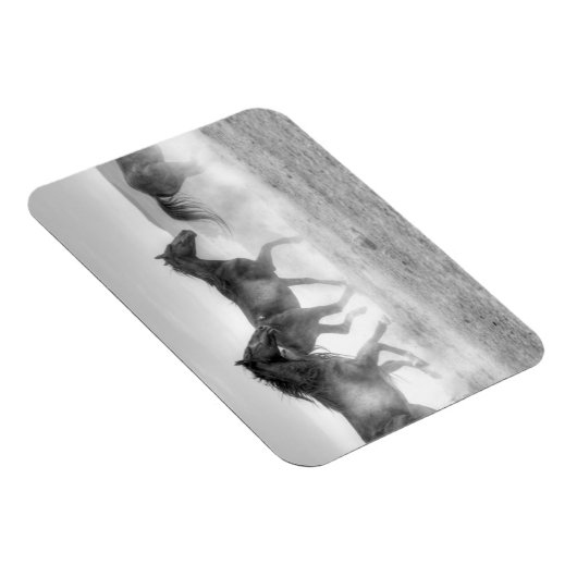 Mustang Run Magnet (Rechte Seite)