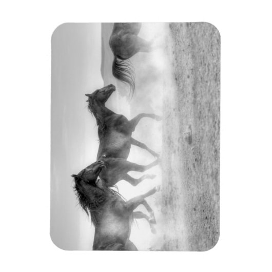 Mustang Run Magnet (Vertikal)