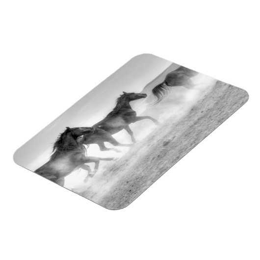 Mustang Run Magnet (Linke Seite)