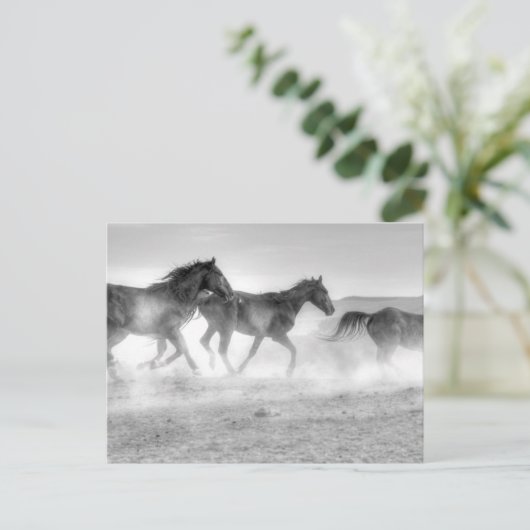 Mustang Run Postkarte (Stehend Vorderseite)