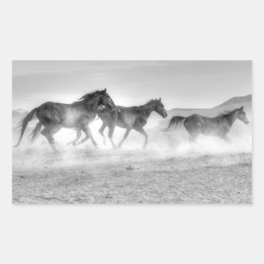 Mustang Run Rechteckiger Aufkleber (Vorderseite)