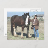 Mustang-Spirit Postcard Postkarte (Vorne/Hinten)