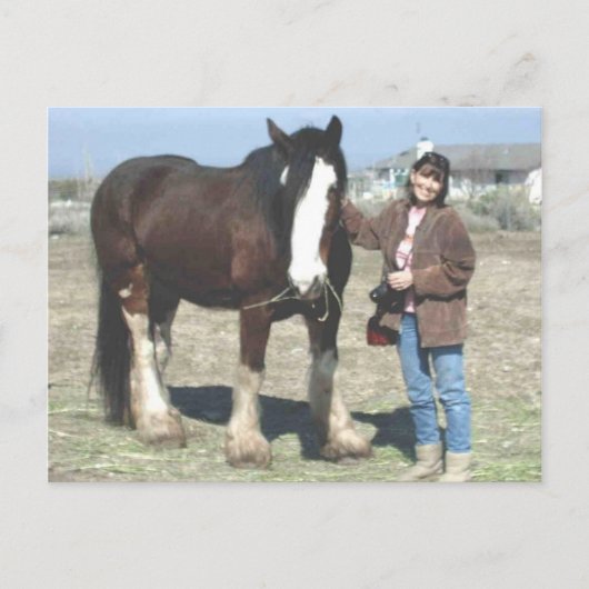 Mustang-Spirit Postcard Postkarte (Vorderseite)