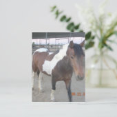 Mustang-Spirit-Postkarte Postkarte (Stehend Vorderseite)