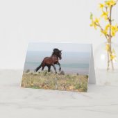 Mustang Stallion, Clancy- Grußkarte Karte (Gelbe Blume)