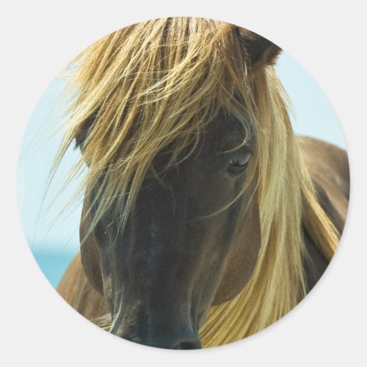 Mustang Stickers (Vorderseite)