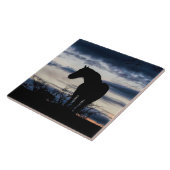 Mustang und Storm Fine Art Fliese (Seite)