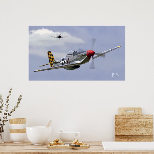 Mustang und Thunderbolzen Poster (Küche)