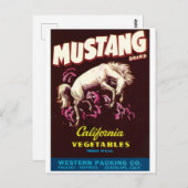 Mustang Wild Horse Guadalupe Postkarte (Vorne/Hinten)
