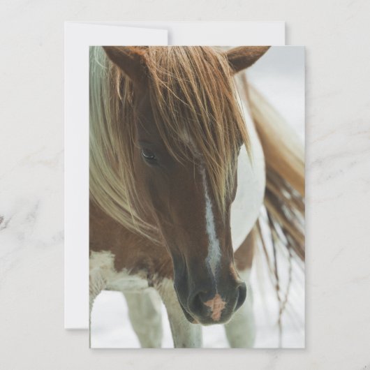 Mustang-wildes Pferdeeinladung Einladung (Vorderseite)