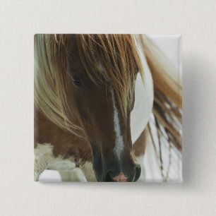 Mustang-wildes Pferdequadrat-Button Button