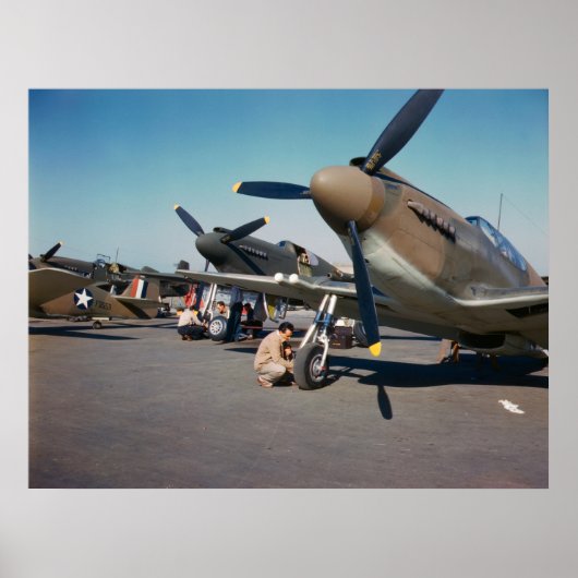 Mustangs P-51 Poster (Vorne)