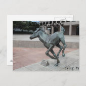 Mustangs von Las Colinas # 13 Postkarte (Vorne/Hinten)