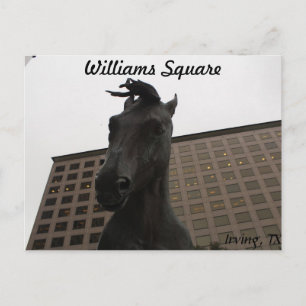 Mustangs von Las Colinas # 14 Postkarte