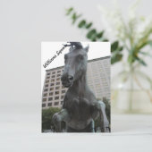 Mustangs von Las Colinas # 17 Postkarte (Stehend Vorderseite)
